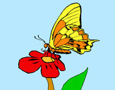 Dibujo Mariposa en flor pintado por lamorales
