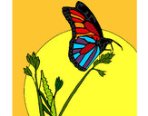Dibujo Mariposa en una rama pintado por Luciernaga2599