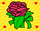 Dibujo Rosa, flor pintado por gagan