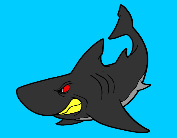 Dibujo Tiburón enfadado pintado por clarisman