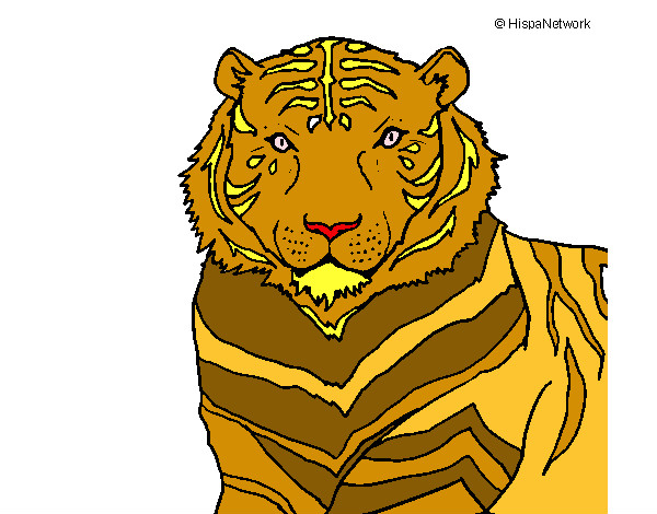 Dibujo Tigre 3 pintado por abuelos