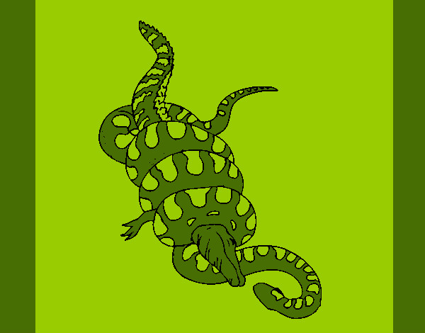 Dibujo Anaconda y caimán pintado por ZAQUARIAS1