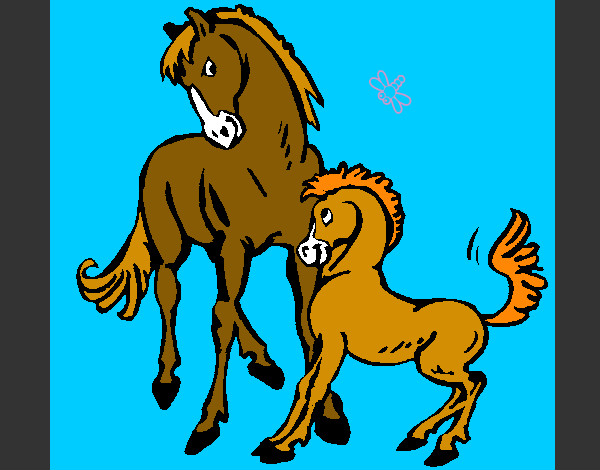 caballos