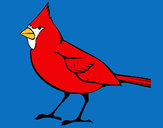 Dibujo Cardinal pintado por lamorales