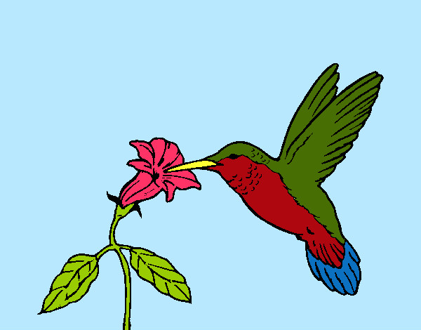 Dibujo Colibrí y una flor pintado por isido 