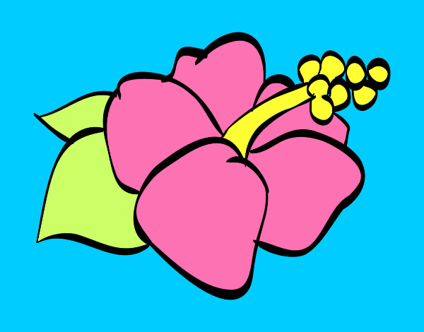 Dibujo Flor de lagunaria pintado por Fabox