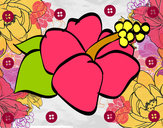 Dibujo Flor de lagunaria pintado por ximena01