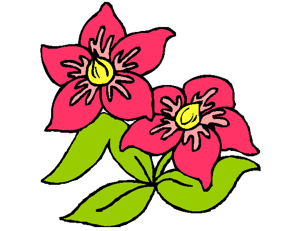 Dibujo Flores 3 pintado por ezmeralda