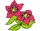 Dibujo Flores 3 pintado por ezmeralda