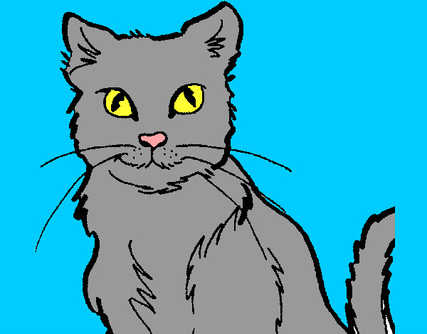 Dibujo Gato 2 pintado por marinanina