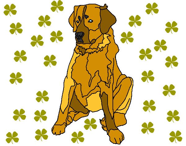 Dibujo Labrador pintado por auxili