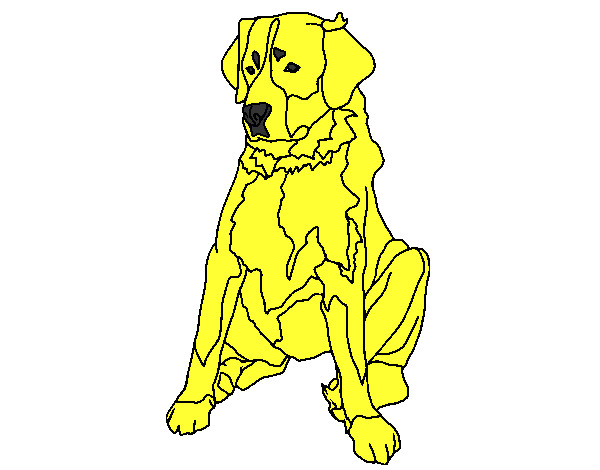 Dibujo Labrador pintado por valecita-6