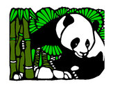 Dibujo Oso panda y bambú pintado por valecita-6