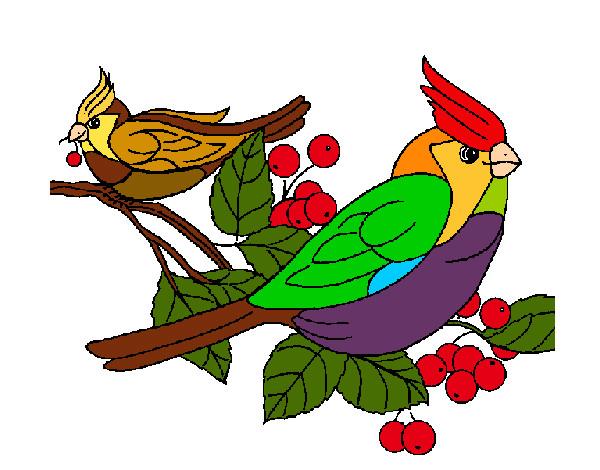 Dibujo Pájaros pintado por samuelj