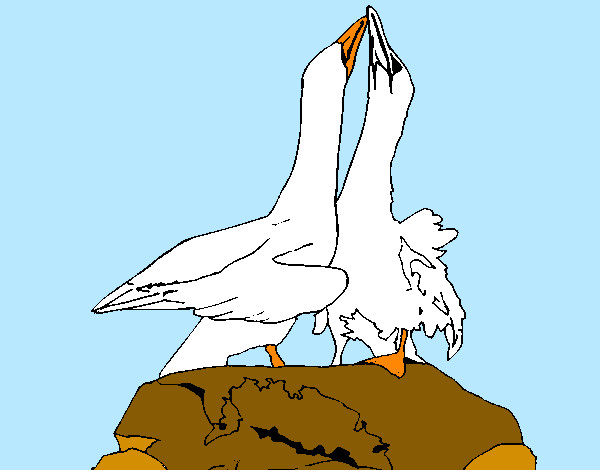 Dibujo Patos en una roca pintado por lamorales