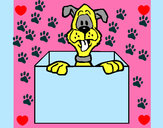 Dibujo Perro dentro de caja pintado por Labeker