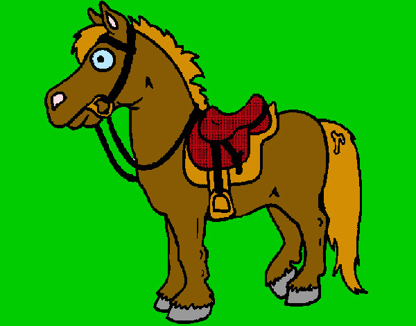 Caballo 3