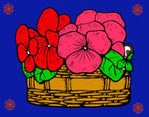 Dibujo Cesta de flores 12 pintado por diego12345