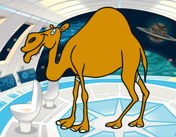 camello espacial 