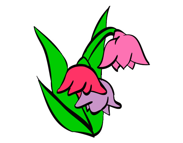 Flor de brugmansia
