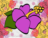 Dibujo Flor de lagunaria pintado por alexarosa