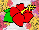 Dibujo Flor de lagunaria pintado por myseen4