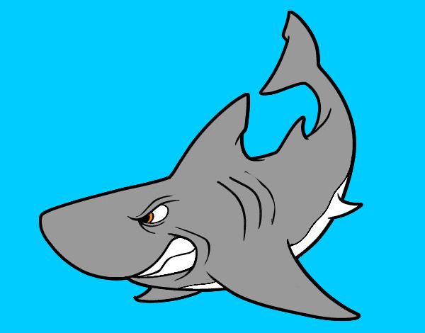 Dibujo Tiburón enfadado pintado por DAVID200