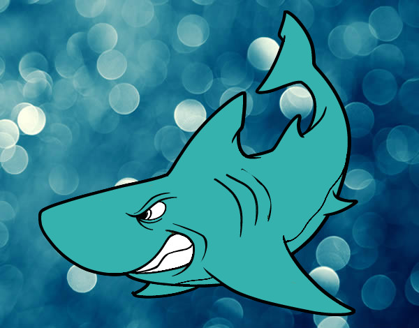 Dibujo Tiburón enfadado pintado por SAUKO