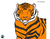 Dibujo Tigre 3 pintado por martagupa