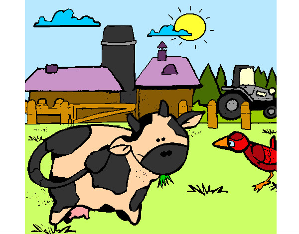 Vaca en la granja