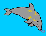Dibujo Delfín contento pintado por fgperotti