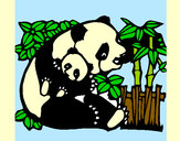 Dibujo Mama panda pintado por pancita