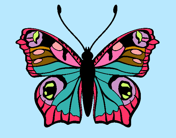 Dibujo Mariposa 20 pintado por olnk