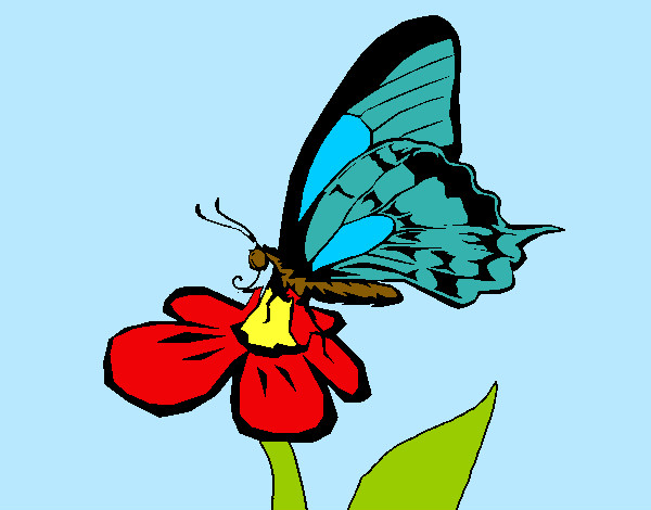 Dibujo Mariposa en una flor pintado por marihana