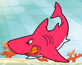 Dibujo Tiburón enfadado pintado por alinebb