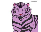 Dibujo Tigre 3 pintado por ashley132