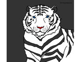 Dibujo Tigre 3 pintado por roshy