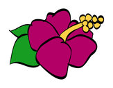 Dibujo Flor de lagunaria pintado por lilynaitor