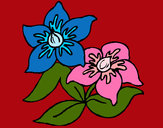 Dibujo Flores 3 pintado por queyla