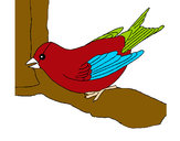 Dibujo Gorrión en una rama pintado por lalura
