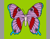 Dibujo Mariposa 7a pintado por Adry1902