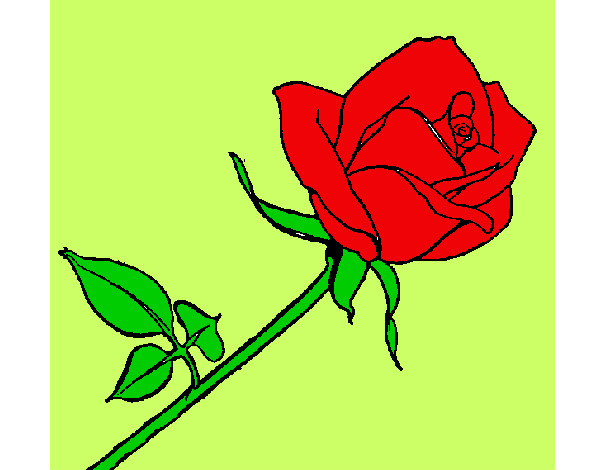 Dibujo Rosa pintado por anmo10