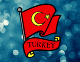 Dibujo Bandera de Turquía pintado por Javier-10
