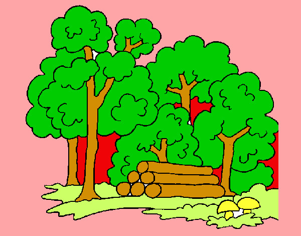 Dibujo Bosque 2 pintado por kalei 