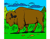Dibujo Búfalo  pintado por gtmb