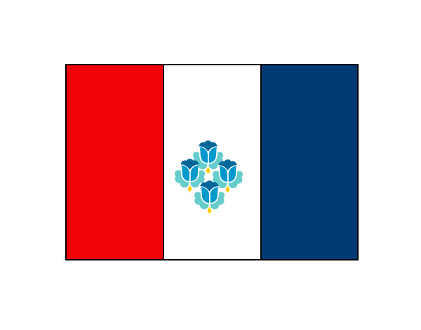 Bnadera Republique Francia