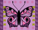 Dibujo Mariposa 20 pintado por tutifruty