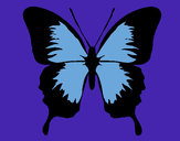 Dibujo Mariposa con alas negras pintado por Alba2202