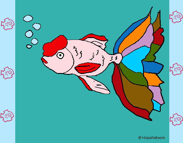Un pez tancho muy colorido...