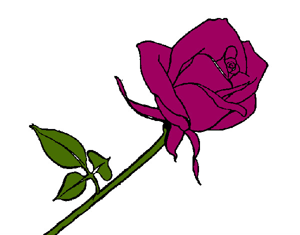 Dibujo Rosa pintado por gtmb